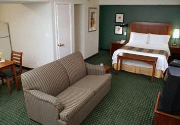 Residence Inn By Marriott Houston Medical Center/Nrg Park Стая снимка